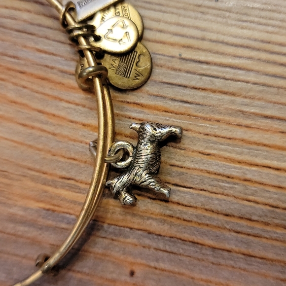 Alex and Ani Monopoly Bracelet - Picture 2 of 4